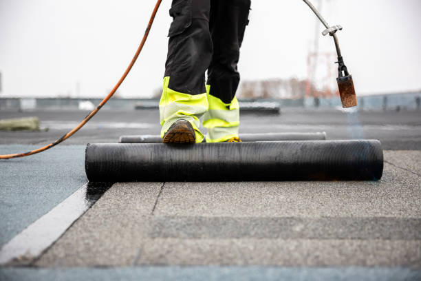 Best Roof Moss and Algae Removal  in Lockport, NY