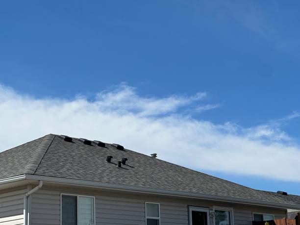 Best Rubber Roofing (EPDM, TPO)  in Lockport, NY